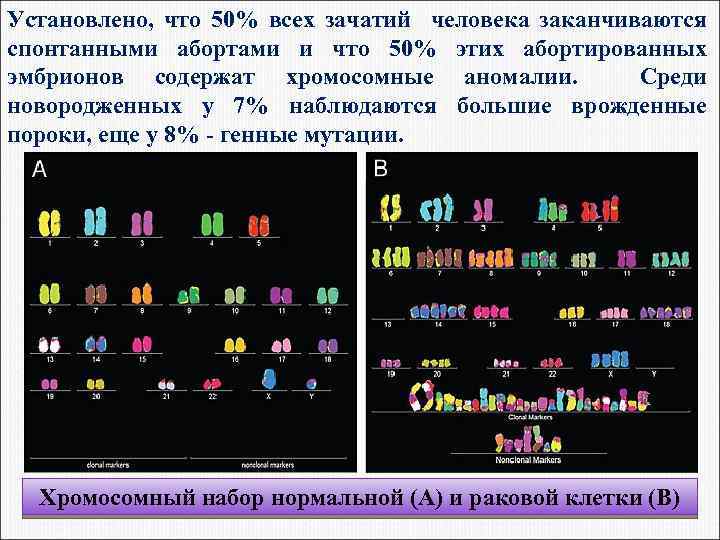 Установлено, что 50% всех зачатий человека заканчиваются спонтанными абортами и что 50% этих абортированных