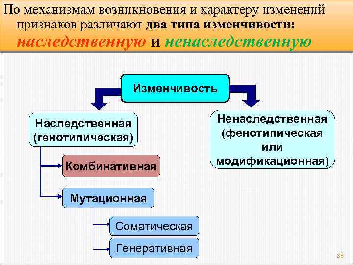 По механизмам возникновения и характеру изменений признаков различают два типа изменчивости: наследственную и ненаследственную