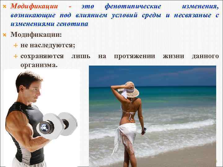  Модификации - это фенотипические изменения, возникающие под влиянием условий среды и несвязаные с