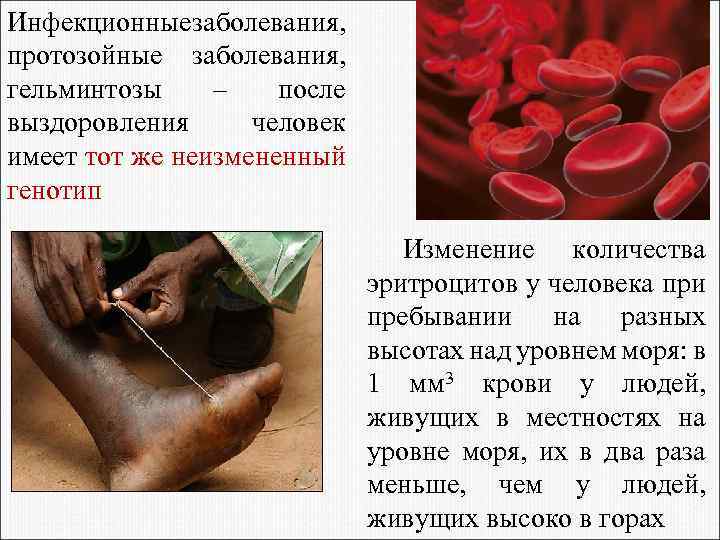 Инфекционные аболевания, з протозойные заболевания, гельминтозы – после выздоровления человек имеет тот же неизмененный