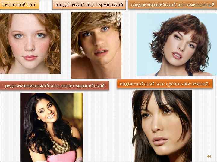 кельтский тип нордический или германский средиземноморский или южно-европейский среднеевропейский или смешанный индонезийский или средне-восточный