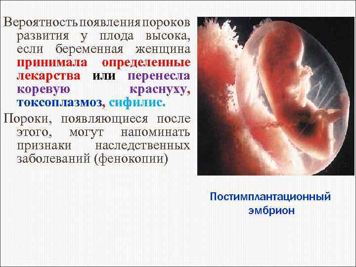 Вероятность появления пороков развития у плода высока, если беременная женщина принимала определенные лекарства или