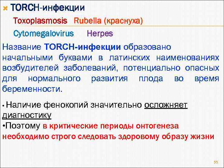  TORCH-инфекции Toxoplasmosis Rubella (краснуха) Cytomegalovirus Herpes Название TORCH-инфекции образовано начальными буквами в латинских