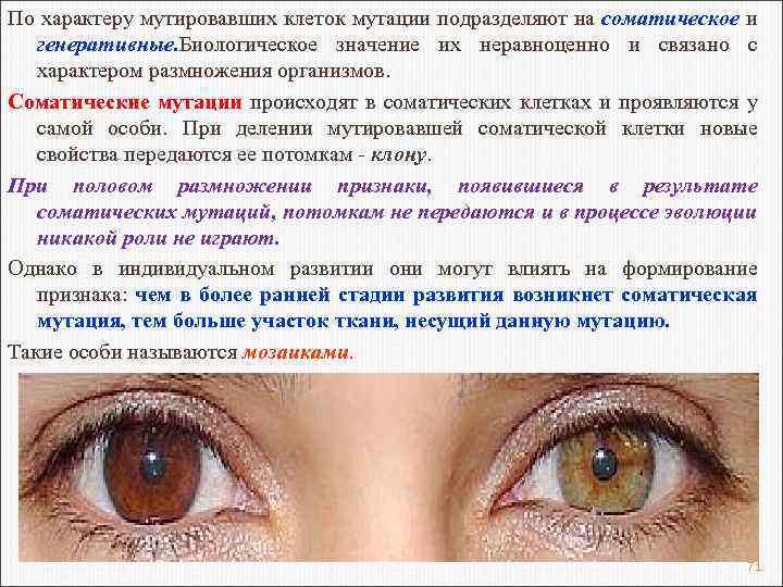 По характеру мутировавших клеток мутации подразделяют на соматическое и генеративные. Биологическое значение их неравноценно