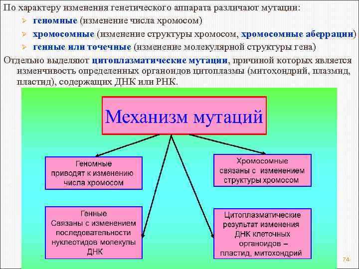 По характеру изменения генетического аппарата различают мутации: Ø геномные (изменение числа хромосом) Ø хромосомные