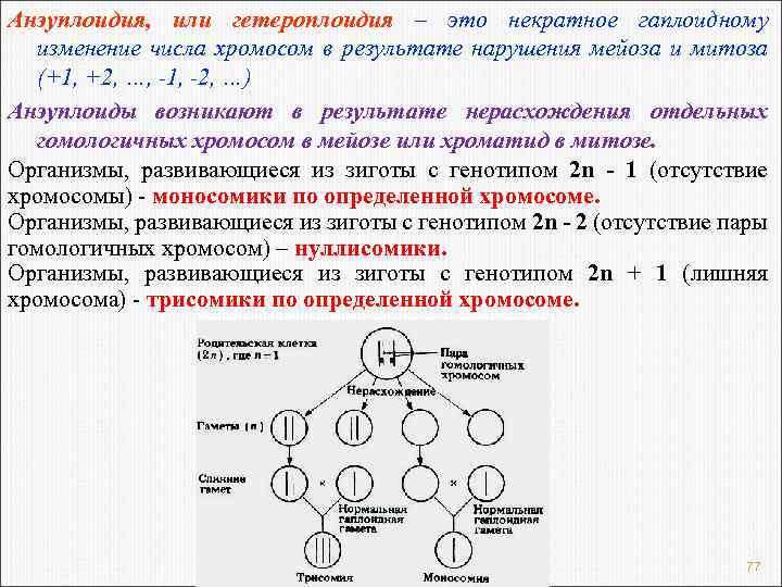 Анэуплоидия, или гетероплоидия – это некратное гаплоидному изменение числа хромосом в результате нарушения мейоза