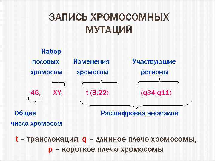 ЗАПИСЬ ХРОМОСОМНЫХ МУТАЦИЙ Набор половых хромосом 46, XY, Общее число хромосом Изменения хромосом t
