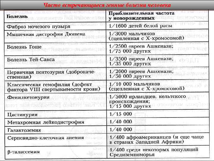 Часто встречающиеся генные болезни человека 85 