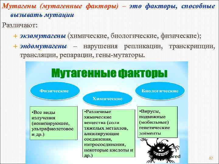 Мутагены (мутагенные факторы) – это факторы, способные вызывать мутации Различают: экзомутагены (химические, биологические, физические);