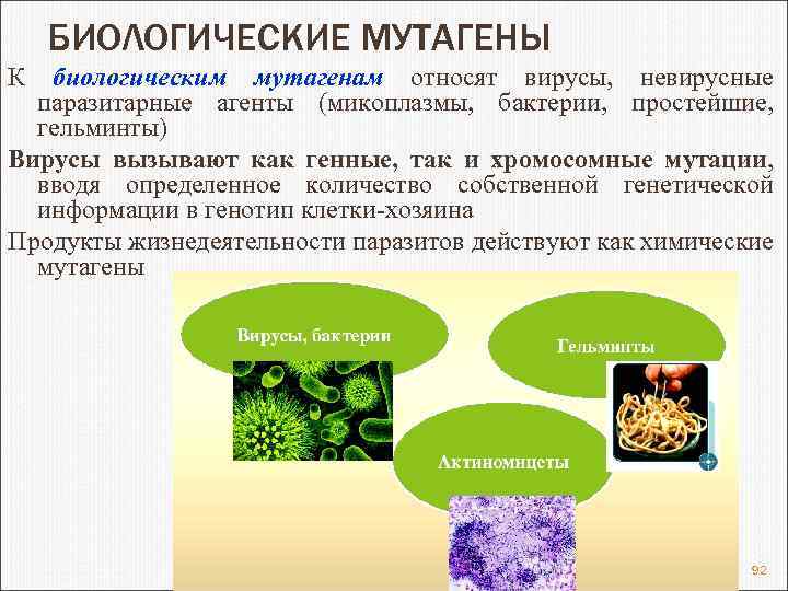 БИОЛОГИЧЕСКИЕ МУТАГЕНЫ К биологическим мутагенам относят вирусы, невирусные паразитарные агенты (микоплазмы, бактерии, простейшие, гельминты)