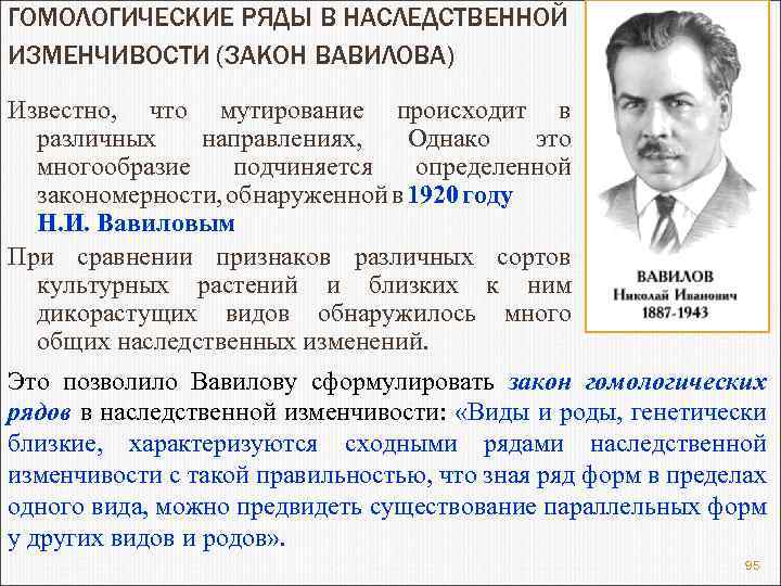 ГОМОЛОГИЧЕСКИЕ РЯДЫ В НАСЛЕДСТВЕННОЙ ИЗМЕНЧИВОСТИ (ЗАКОН ВАВИЛОВА) Известно, что мутирование происходит в различных направлениях,