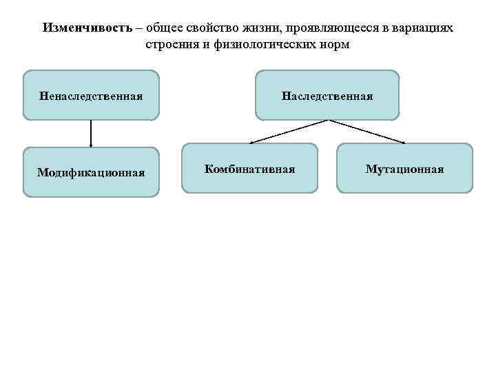 Изменчивость – общее свойство жизни, проявляющееся в вариациях строения и физиологических норм Ненаследственная Модификационная