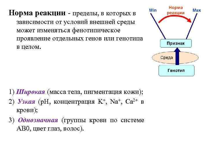 Норма реакции - пределы, в которых в зависимости от условий внешней среды может изменяться
