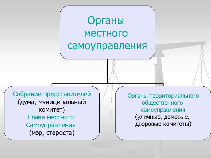 Органы местного самоуправления Собрание представителей (дума, муниципальный комитет) Глава местного Самоуправления (мэр, староста) Органы