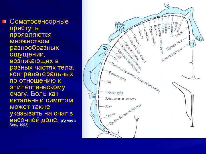 Соматосенсорные приступы проявляются множеством разнообразных ощущений, возникающих в разных частях тела, контралатеральных по отношению
