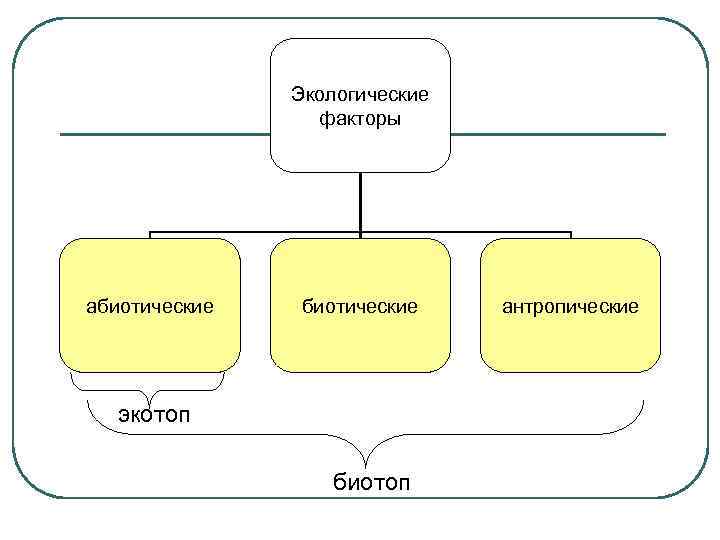     Экологические   факторы абиотические  антропические  экотоп 