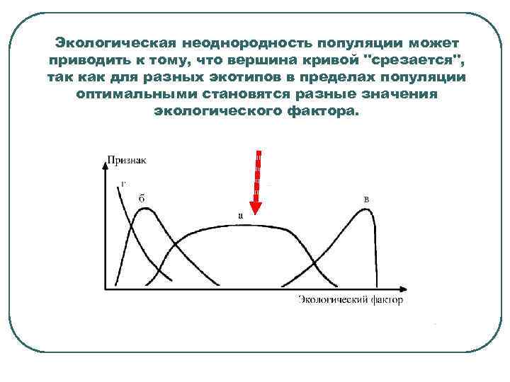  Экологическая неоднородность популяции может приводить к тому, что вершина кривой 