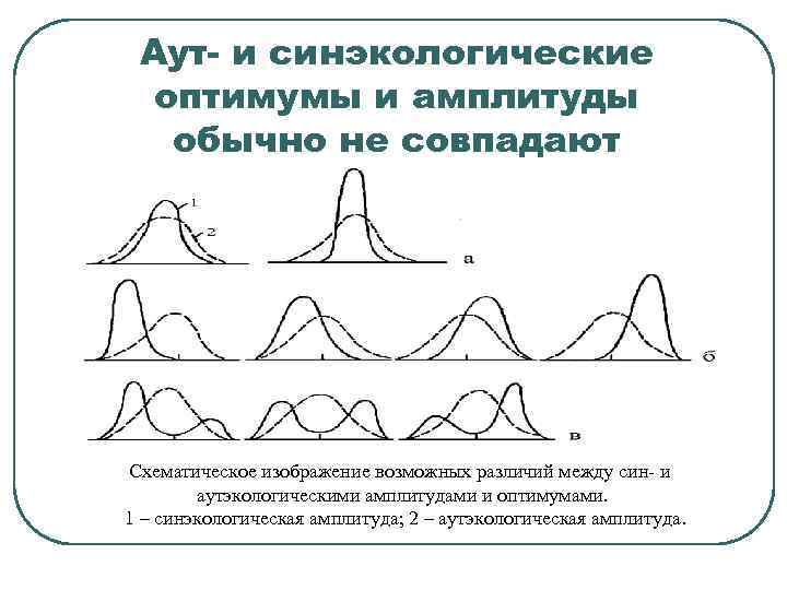  Аут- и синэкологические  оптимумы и амплитуды  обычно не совпадают Схематическое изображение