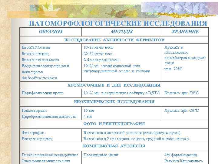   ПАТОМОРФОЛОГОГИЧЕСКИЕ ИССЛЕДОВАНИЯ   ОБРАЗЦЫ     МЕТОДЫ  