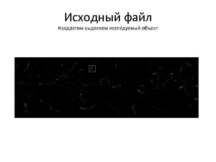 Исходный файл Квадратом выделяем исследуемый объект 