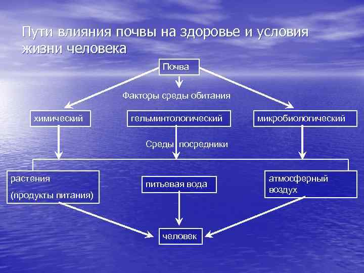 Состав почвы влияет