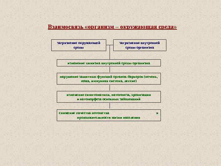 Взаимосвязь «организм – окружающая среда» загрязнение окружающей  загрязнение внутренней  среды организма 