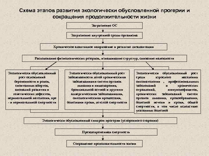  Схема этапов развития экологически обусловленной прогерии и   сокращения продолжительности жизни 