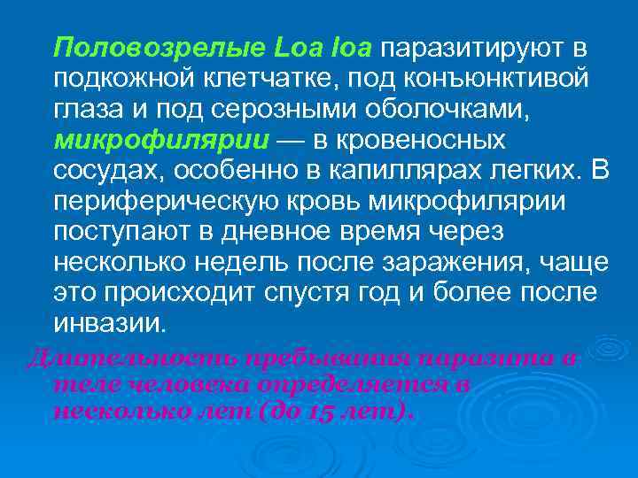   Половозрелые Loa loa паразитируют в подкожной клетчатке, под конъюнктивой глаза и под