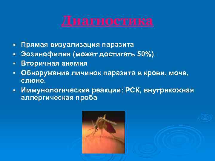    Диагностика §  Прямая визуализация паразита §  Эозинофилия (может достигать