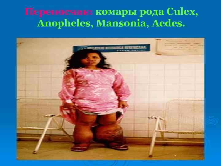 Переносчик: комары рода Culex,  Anopheles, Mansonia, Aedes. 