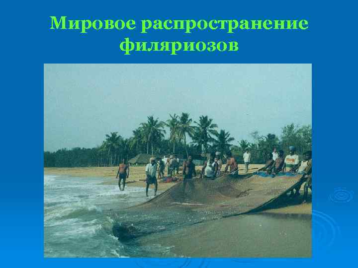 Мировое распространение филяриозов 