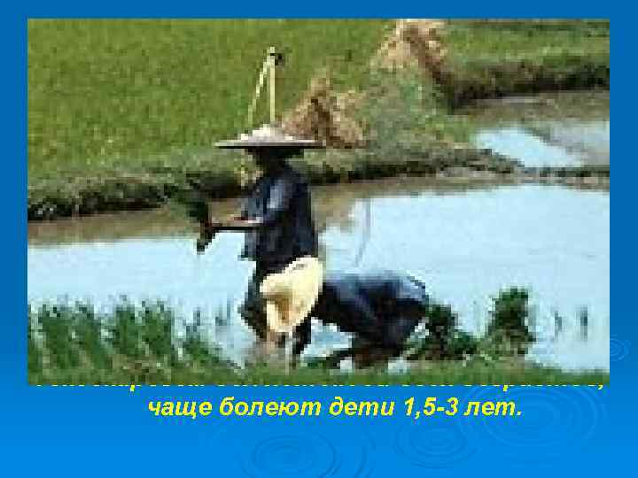 Токсокарозом болеют люди всех возрастов,   чаще болеют дети 1, 5 -3 лет.