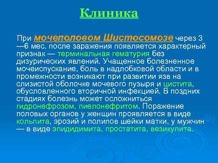    Клиника При мочеполовом Шистосомозе через 3 — 6 мес. после заражения