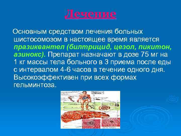    Лечение  Основным средством лечения больных шистосомозом в настоящее время является