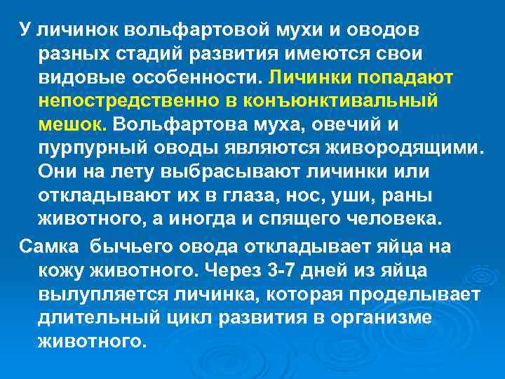 У личинок вольфартовой мухи и оводов  разных стадий развития имеются свои  видовые