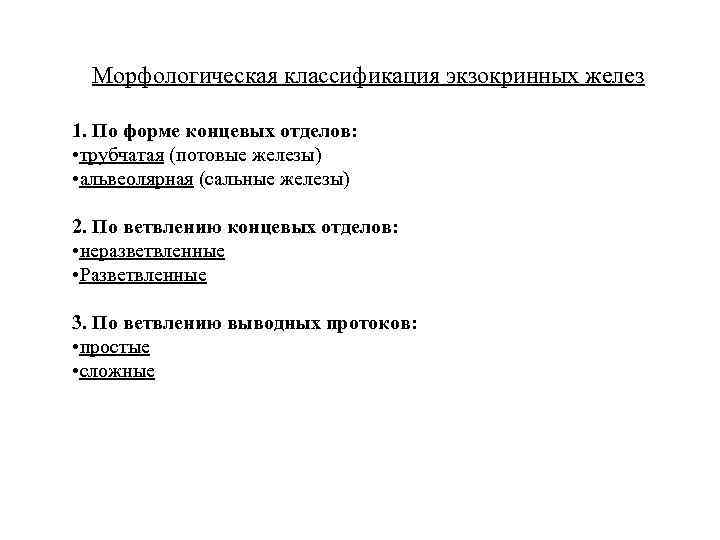 Морфологическая классификация экзокринных желез 1. По форме концевых отделов: • трубчатая (потовые железы) •