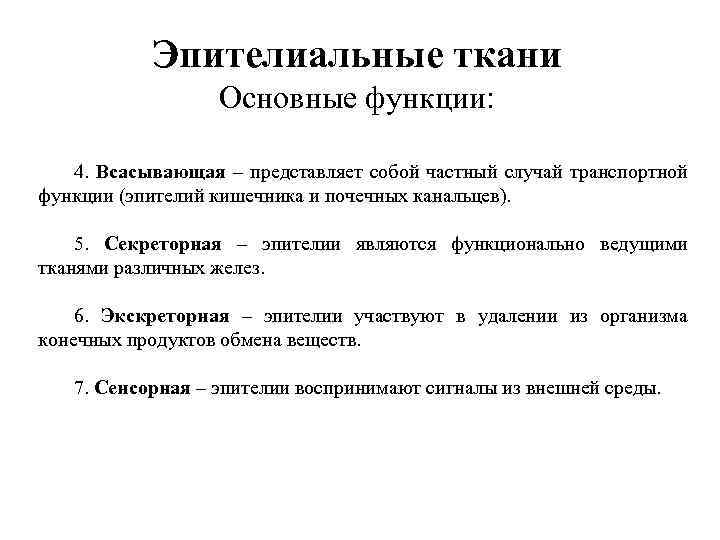 Функции эпителиальной ткани. Экскреторная функция эпителиальной ткани. Основные функции эпителиальной ткани. Основная функция эпителиальной ткани.