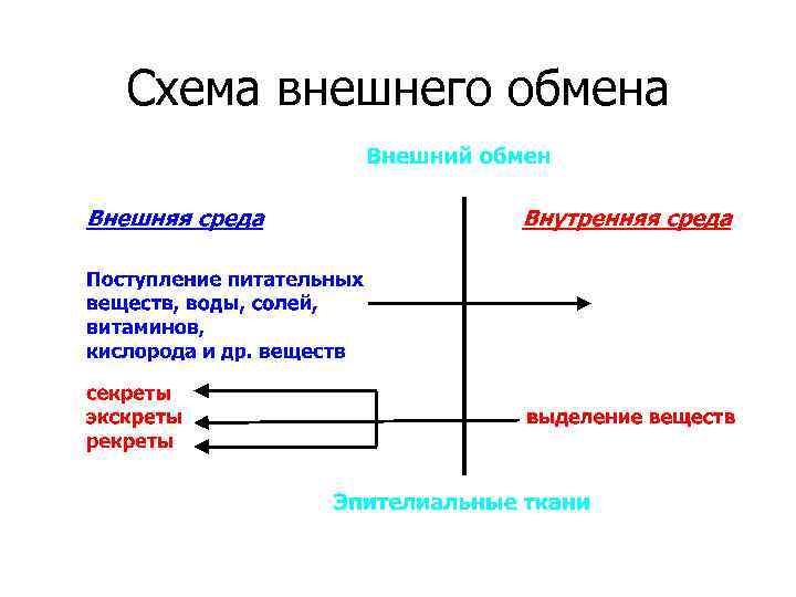 Схема внешнего обмена 