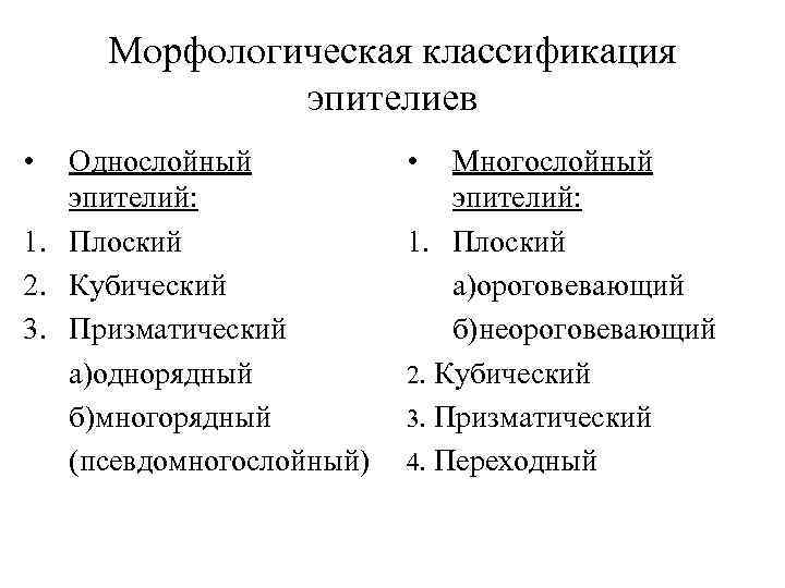Морфологическая классификация эпителиев • Однослойный эпителий: 1. Плоский 2. Кубический 3. Призматический а)однорядный б)многорядный