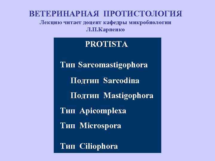 ВЕТЕРИНАРНАЯ ПРОТИСТОЛОГИЯ Лекцию читает доцент кафедры микробиологии Л. П. Карпенко PROTISTA Тип Sarcomastigophora Подтип