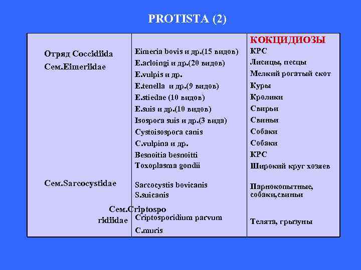 PROTISTA (2) КОКЦИДИОЗЫ Отряд Coccidiida Cем. Eimeriidae Eimeria bovis и др. (15 видов) E.