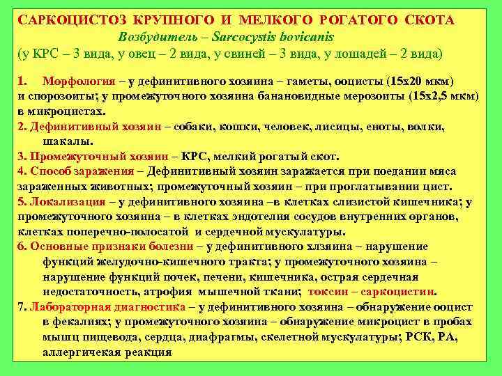 САРКОЦИСТОЗ КРУПНОГО И МЕЛКОГО РОГАТОГО СКОТА Возбудитель – Sarcocystis bovicanis (у КРС – 3