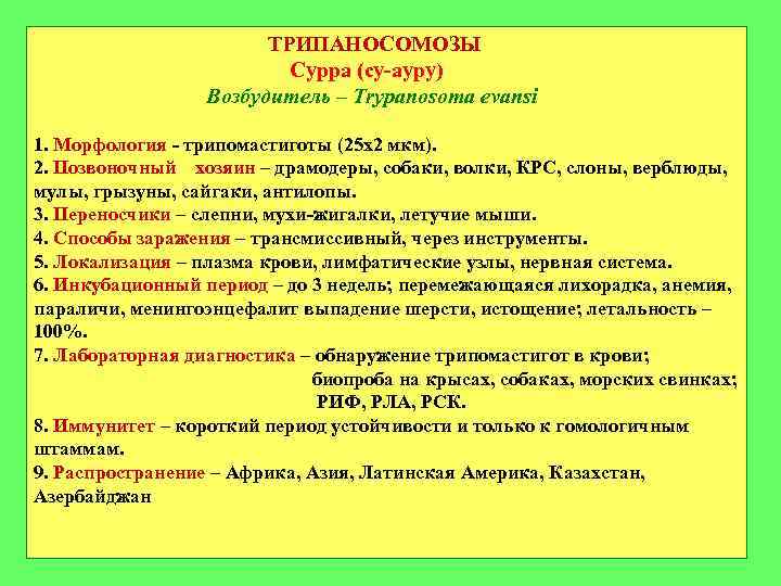 ТРИПАНОСОМОЗЫ Сурра (су-ауру) Возбудитель – Trypanosoma evansi 1. Морфология - трипомастиготы (25 х2 мкм).