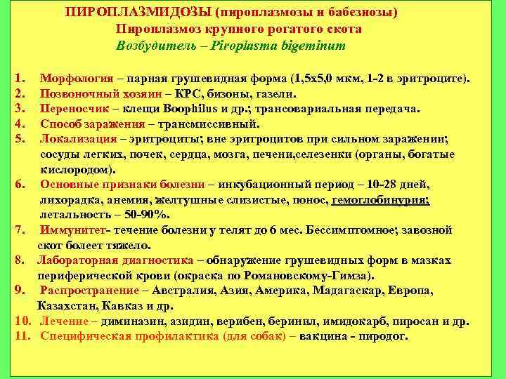 ПИРОПЛАЗМИДОЗЫ (пироплазмозы и бабезиозы) Пироплазмоз крупного рогатого скота Возбудитель – Piroplasma bigeminum 1. 2.