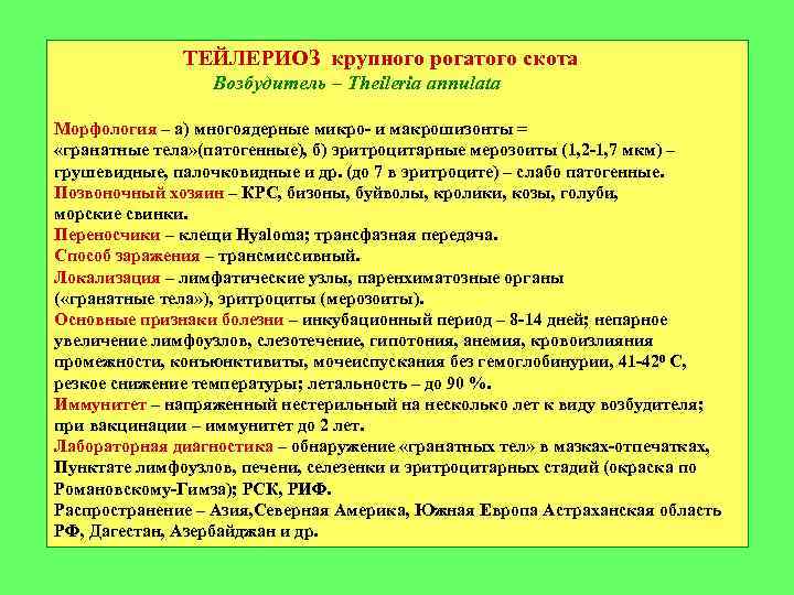 ТЕЙЛЕРИОЗ крупного рогатого скота Возбудитель – Theileria annulata Морфология – а) многоядерные микро- и
