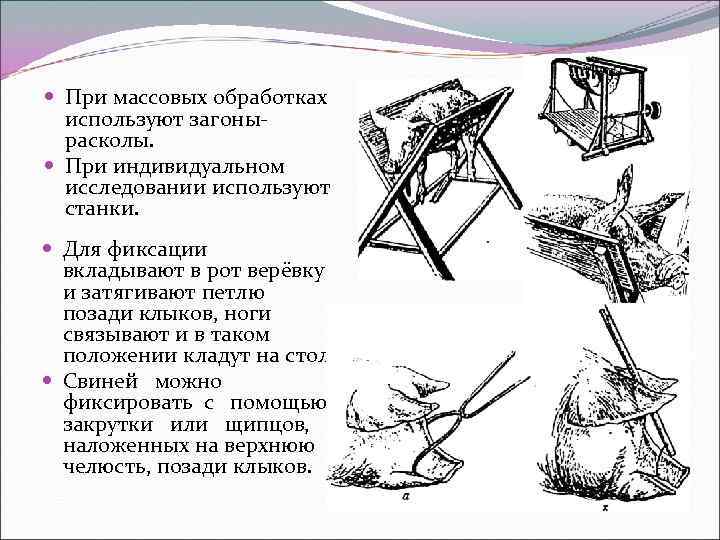 Столы для фиксации сельскохозяйственных животных и указать каких животных