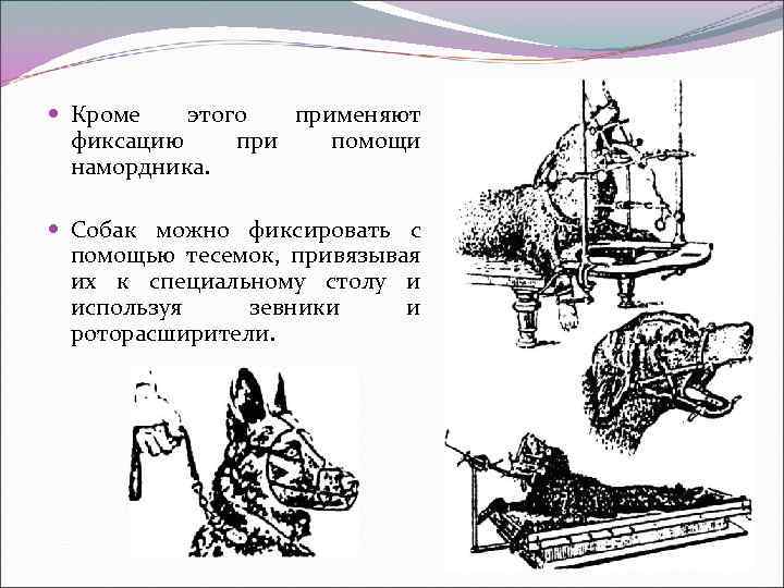 Столы для фиксации сельскохозяйственных животных и указать каких животных