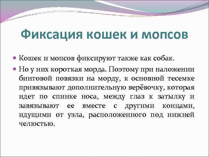 Фиксация кошек и мопсов Кошек и мопсов фиксируют также как собак. Но у них