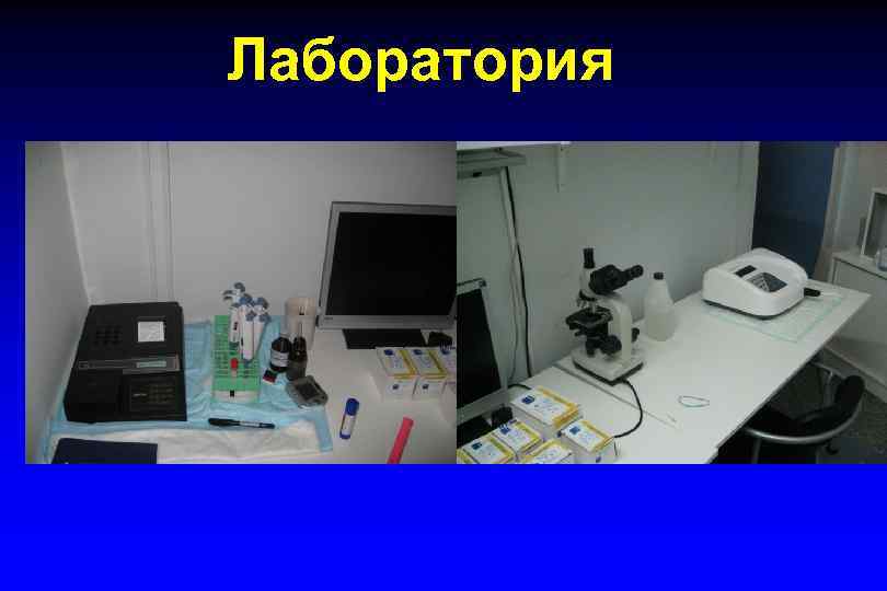 Лаборатория 