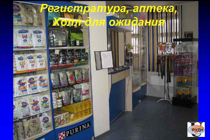 Регистратура, аптека,  Холл для ожидания     РУДН 